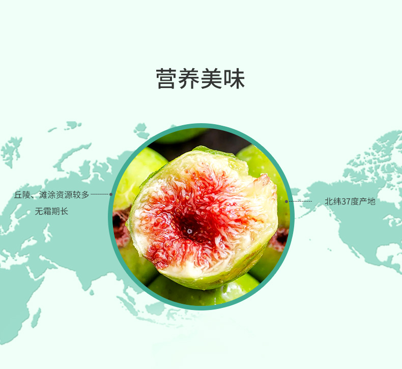 1-22113016350T92 3.jpg