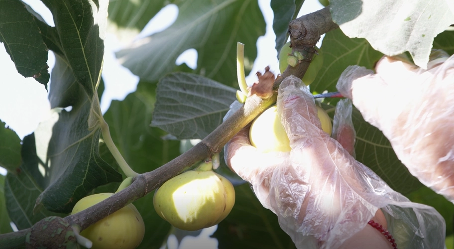 2-231023104640104 2-231023104640104