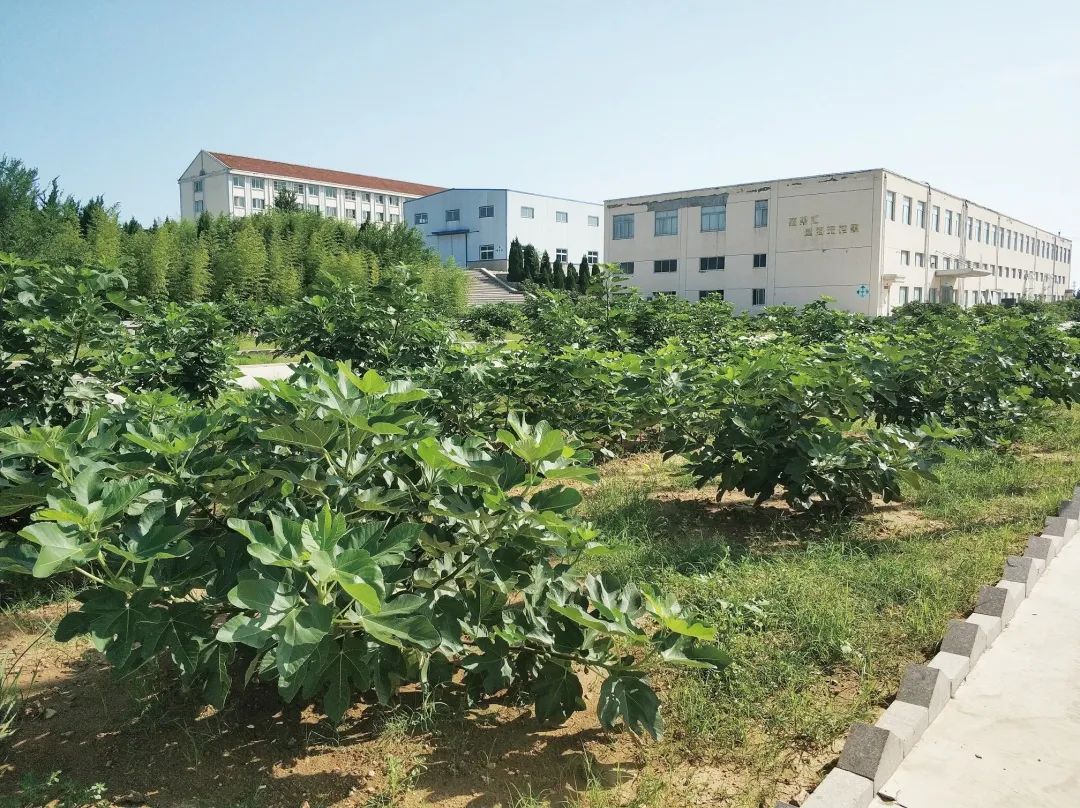 2-231023104644O0 2-231023104644O0