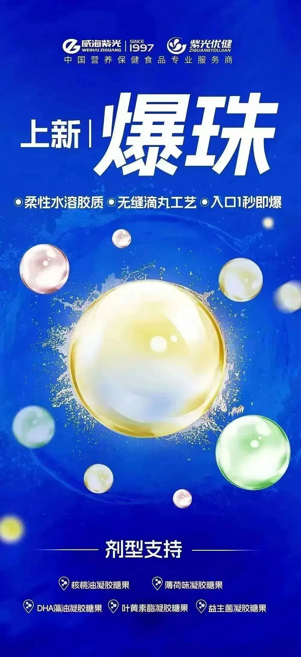 2-2310231046461B 2-2310231046461B