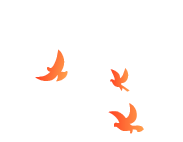 2-231023110231192 2-231023110231192