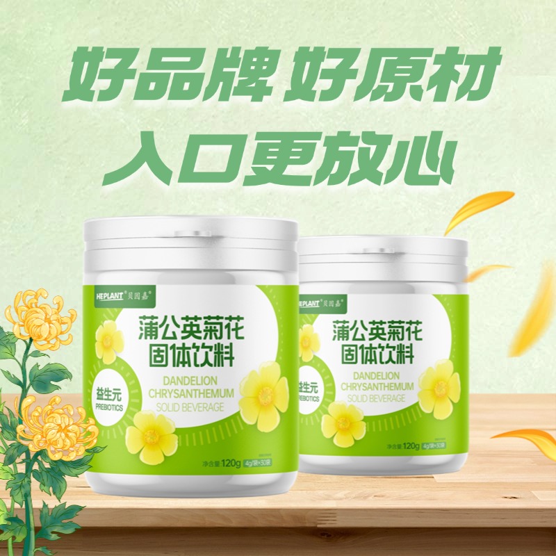 Beinga dandelion chrysan